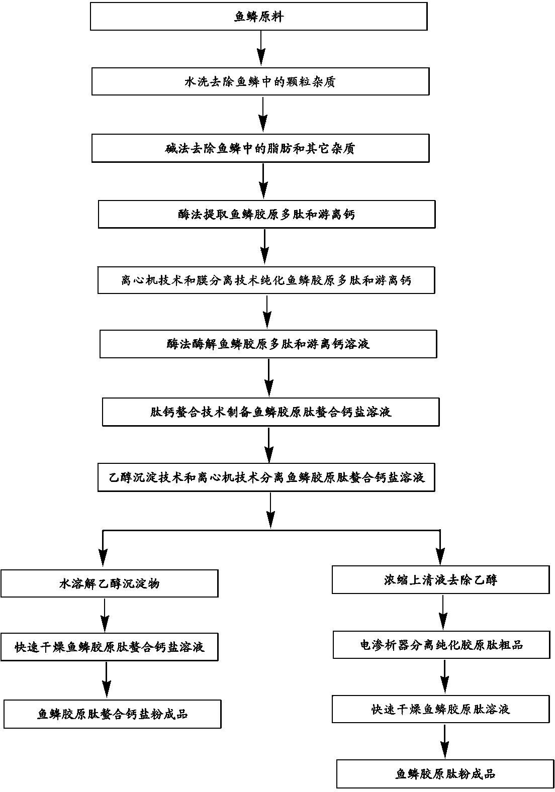 Method for continuously producing scale collagen peptide chelated calcium salt and scale collagen peptide