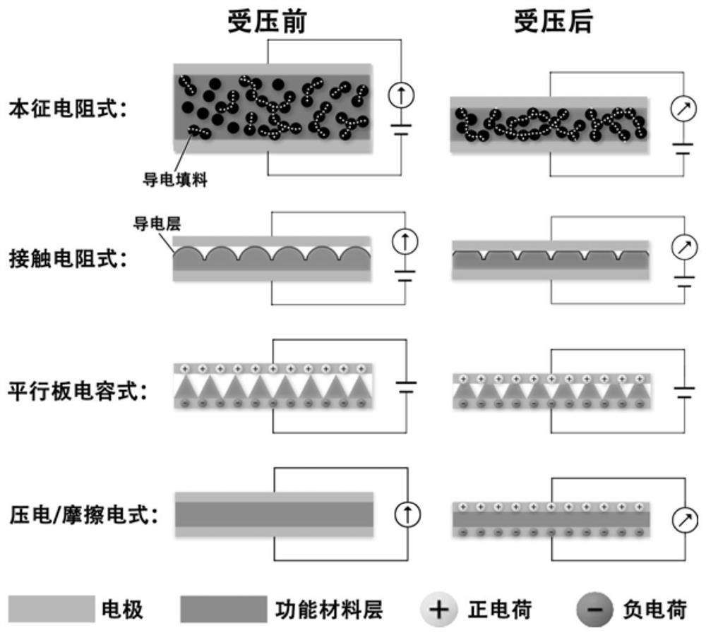 Ionic rubber elastic body and preparation method thereof, ionized electronic skin