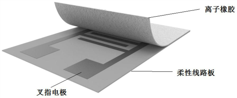 Ionic rubber elastic body and preparation method thereof, ionized electronic skin