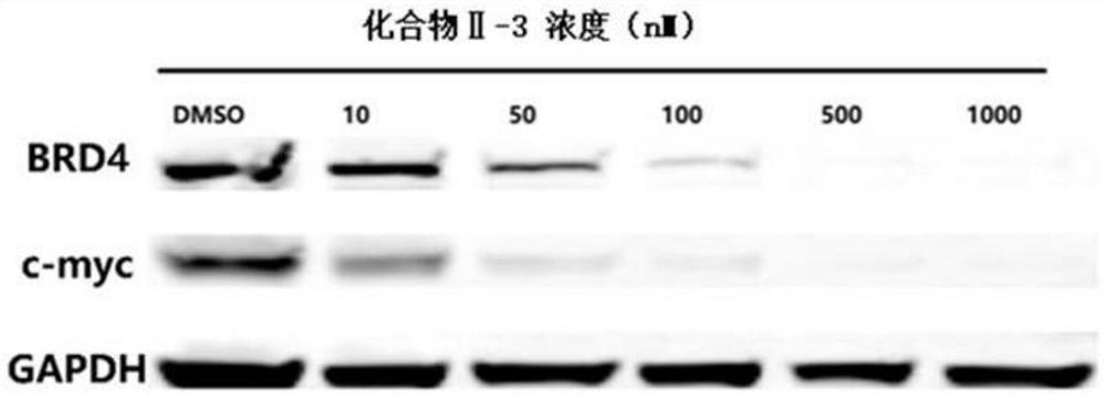 Benzoindole bifunctional molecular derivatives as well as preparation method and application thereof