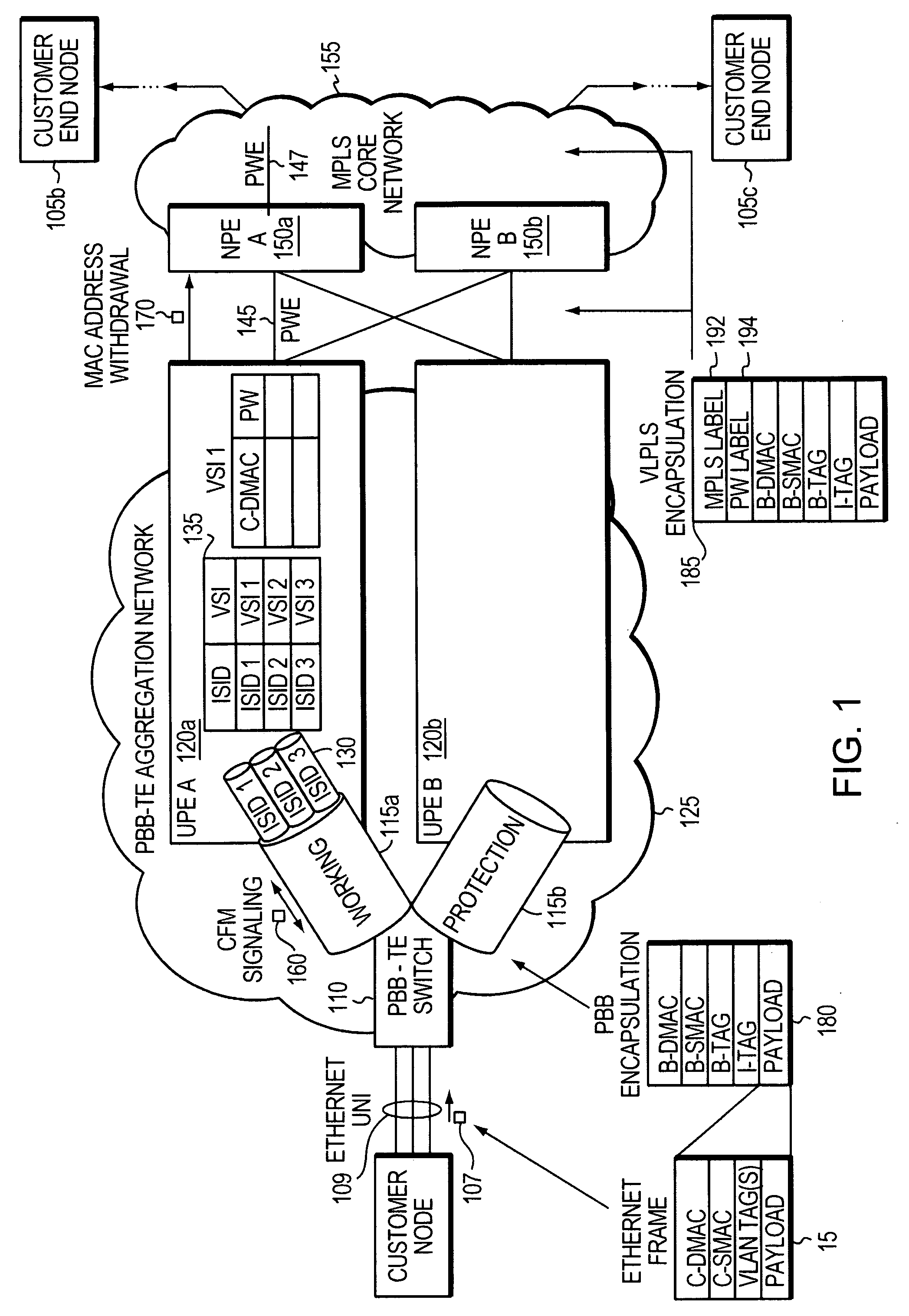 Method and apparatus for supporting network communications using point-to-point and point-to-multipoint protocols