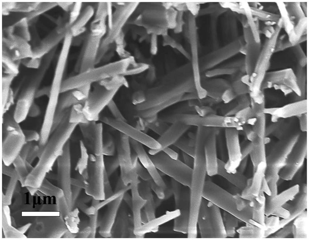 Silicon nitride nanorod fluorescent powder and preparation method and application thereof