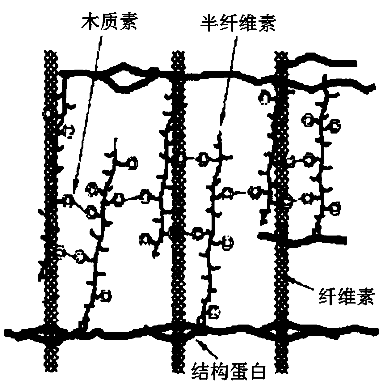 Plant Fiber Loading Modified Nano Titanium Dioxide Composite Material and Its Preparation and Application