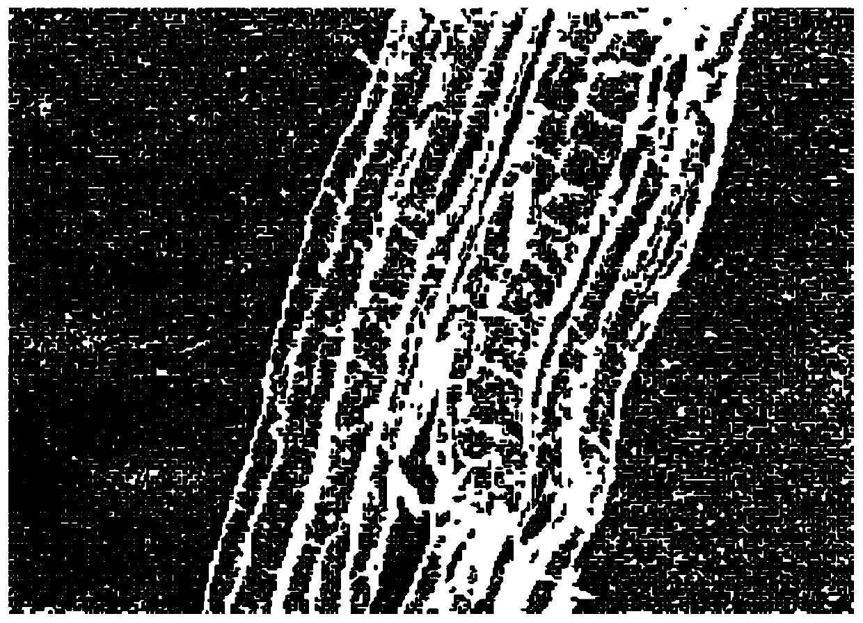 Plant Fiber Loading Modified Nano Titanium Dioxide Composite Material and Its Preparation and Application