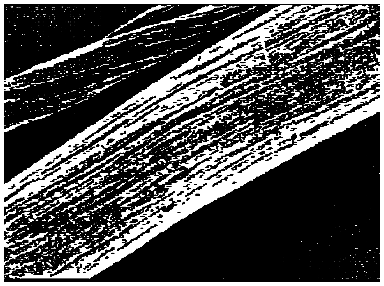 Plant Fiber Loading Modified Nano Titanium Dioxide Composite Material and Its Preparation and Application