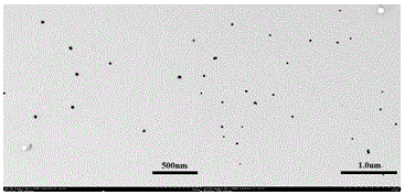 Colloidal gold immunochromatography test paper for detecting canine Echinococcus granulosus infection, and production method thereof