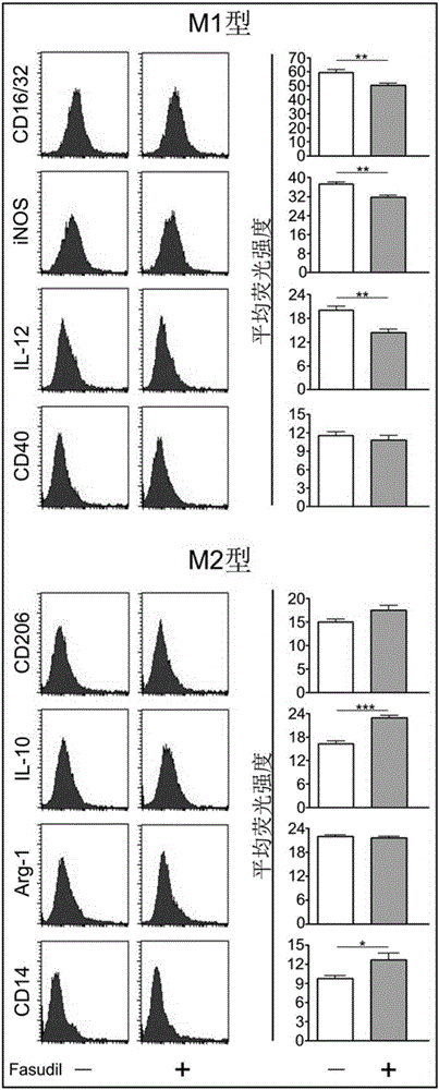 Modification method and application of in-vitro immunocyte preparation