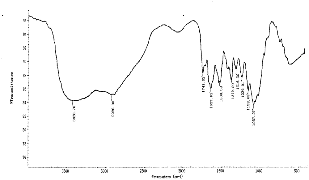 Condensation derivative of chitosan and substituted phenylthiosemicarbazide and preparation method thereof