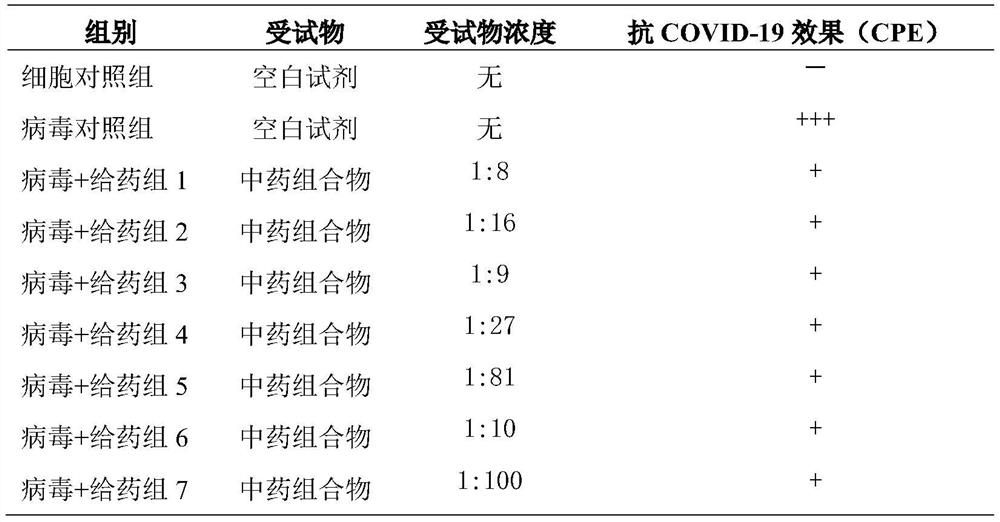 Traditional Chinese medicine composition with antiviral effect