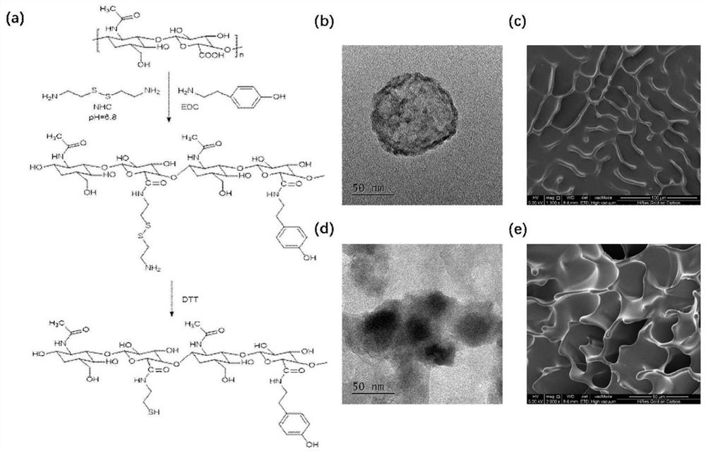 Triptolide-gold nanoparticle/hyaluronic acid composite hydrogel as well as preparation and application thereof
