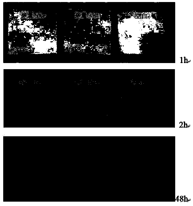 Super-hydrophobic modification method of mineral admixtures