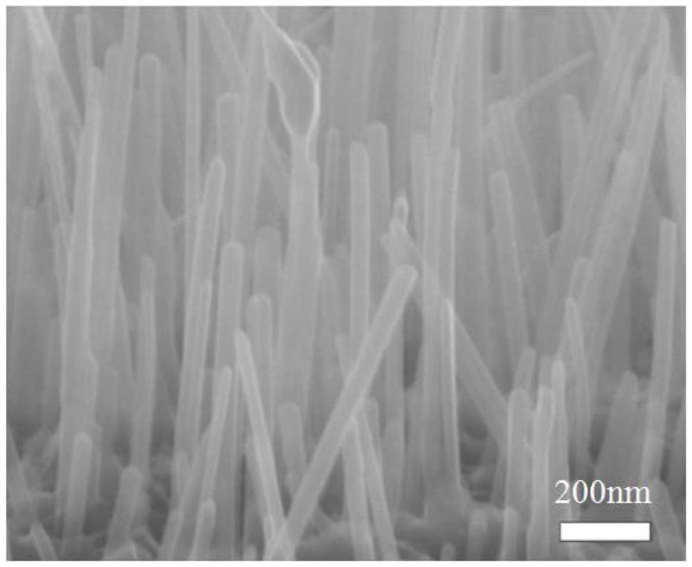 Preparation method of CaSi nanowires