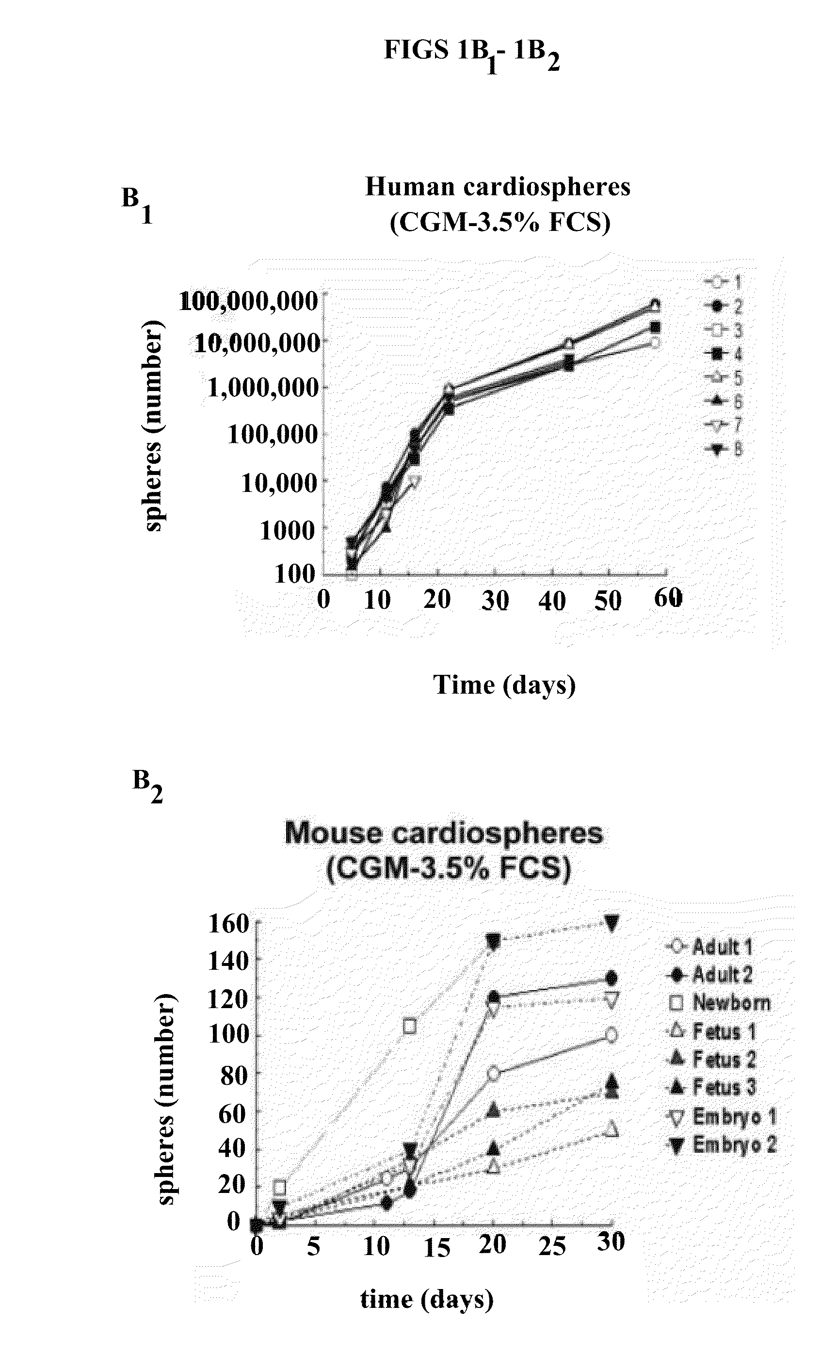 Cardiac stem cells and methods for isolation of same