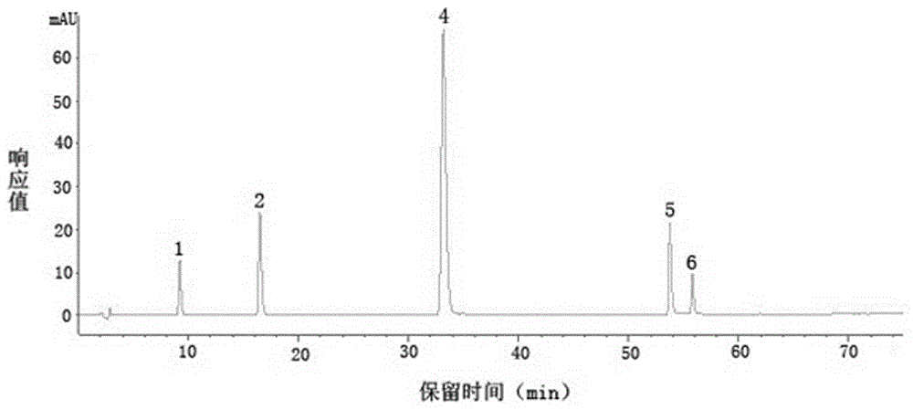 Preparation and quality detection method of amomum para-tsaoko total flavonoids extract