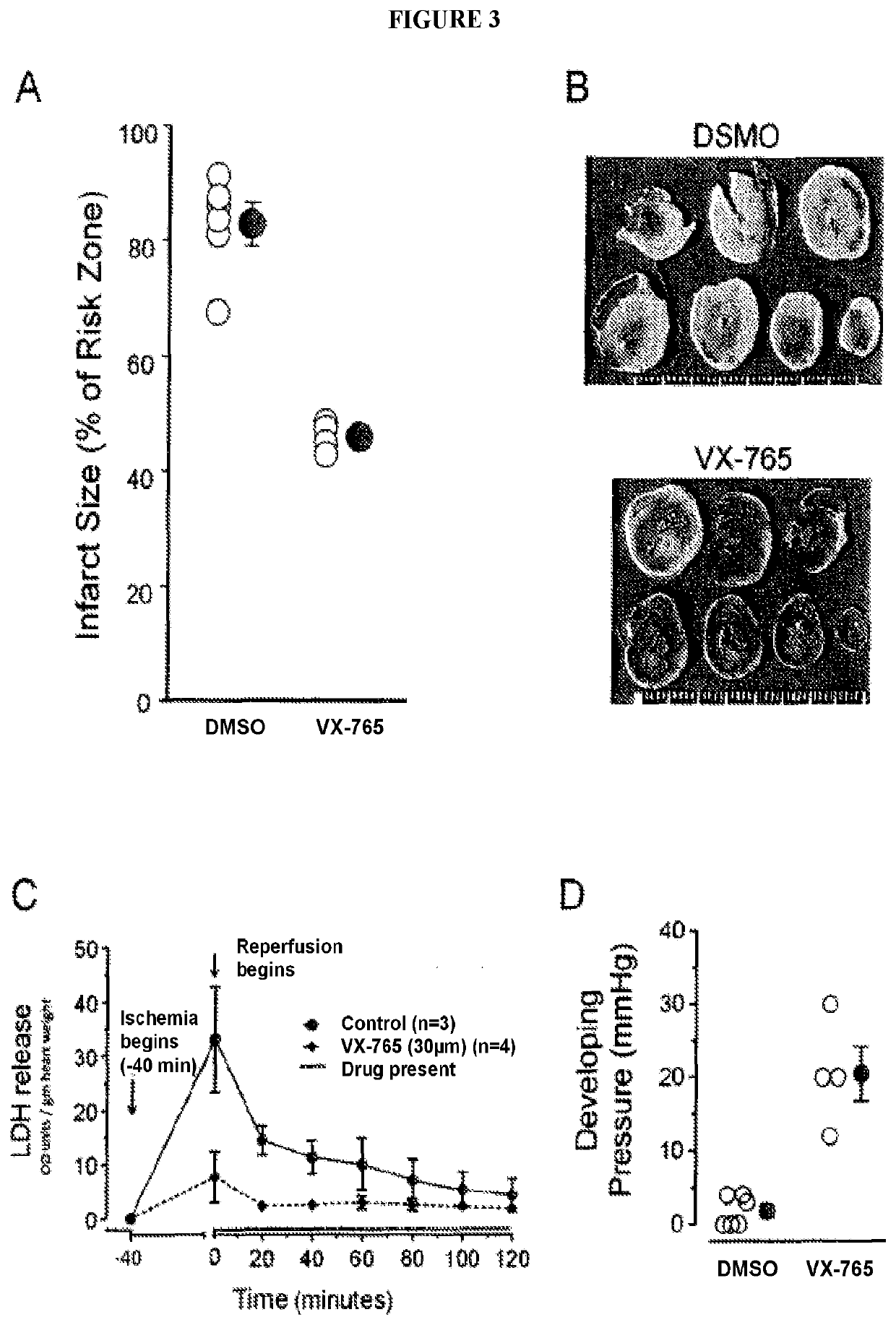 Combined administration of cysteine-aspartic protease inhibitors with p2y12 receptor antagonists protects the heart against myocardial infarction