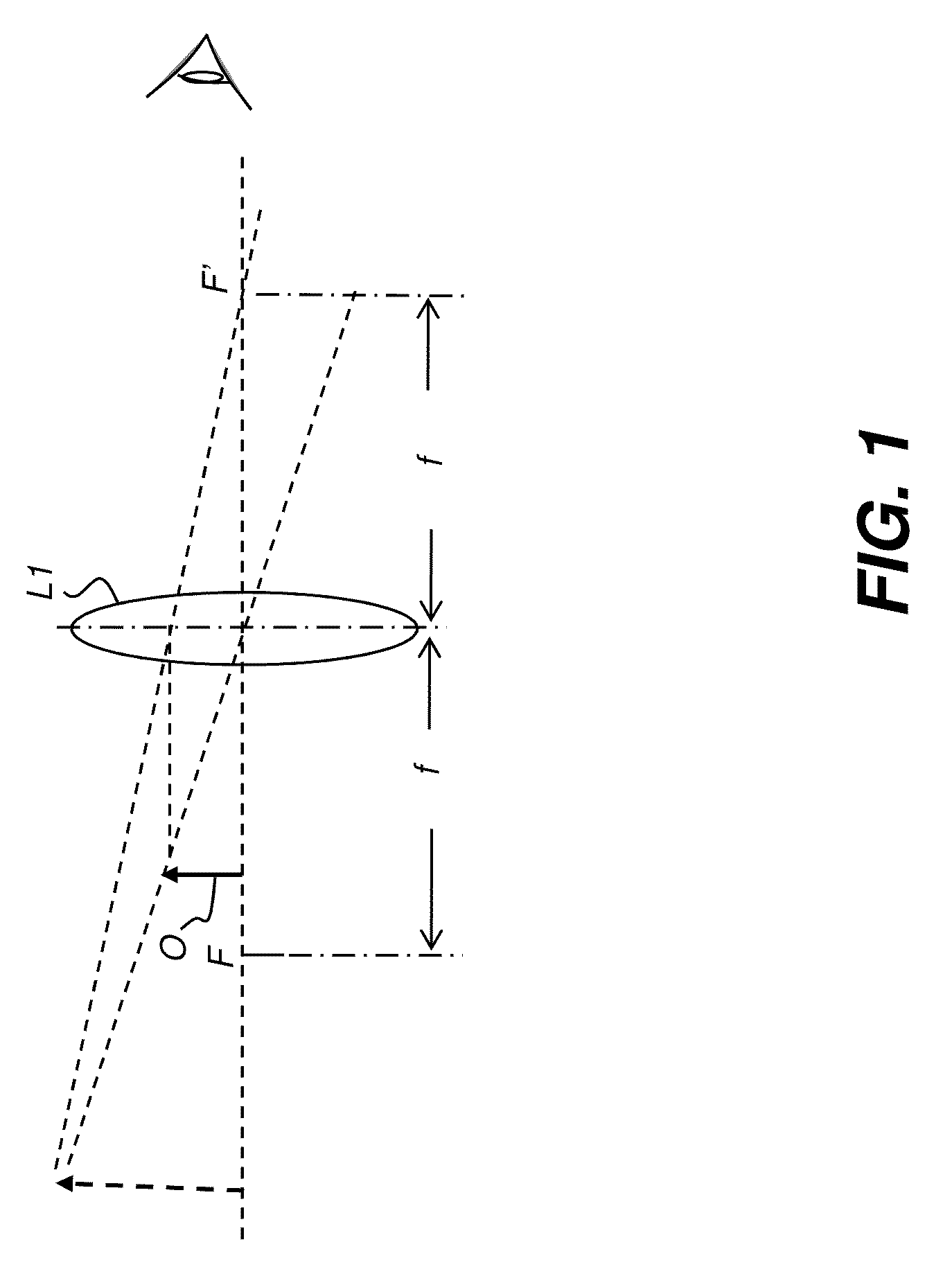 Head-mounted optical apparatus using an OLED display