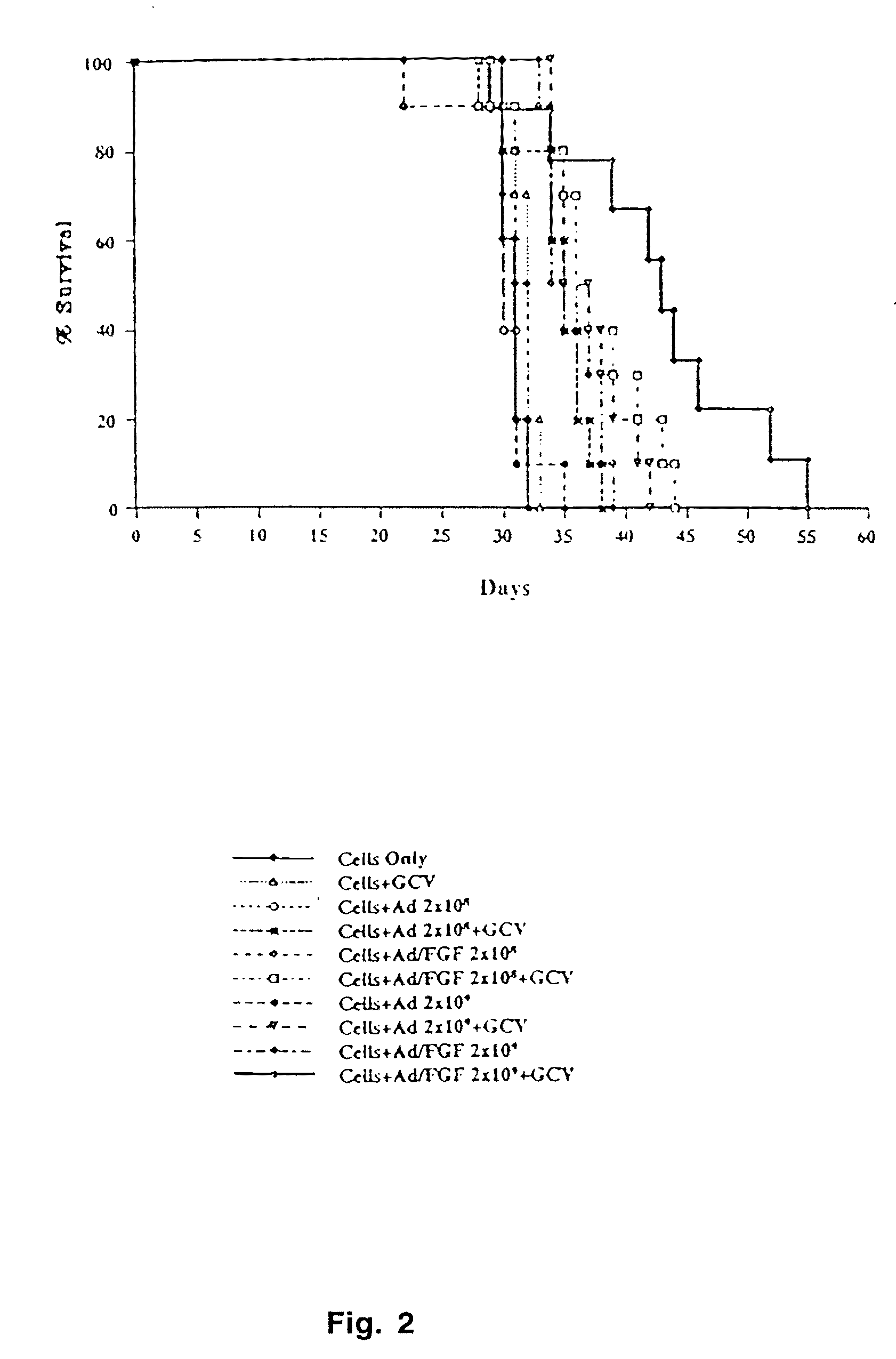 Infectivity-enhanced conditionally-replicative adenovirus and uses thereof