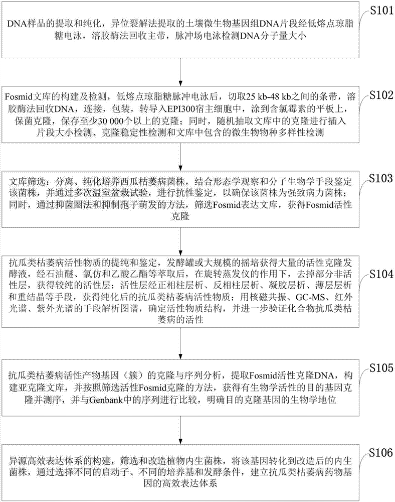 Cloning and sequence analyzing method for active product gene capable of resisting cucurbits fusarium wilt