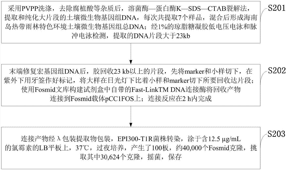 Cloning and sequence analyzing method for active product gene capable of resisting cucurbits fusarium wilt