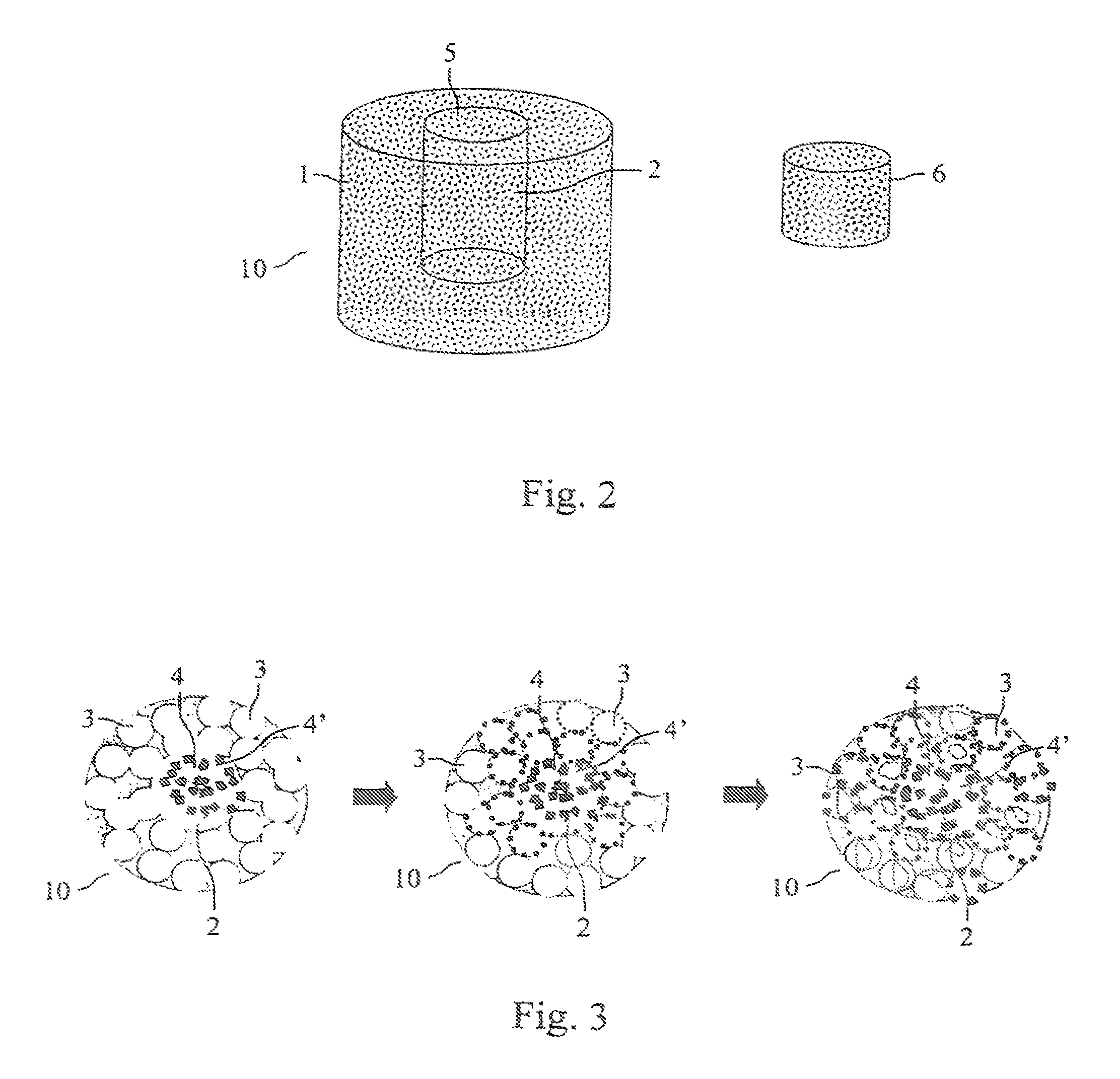 Porous chamber for tissue culture in vivo