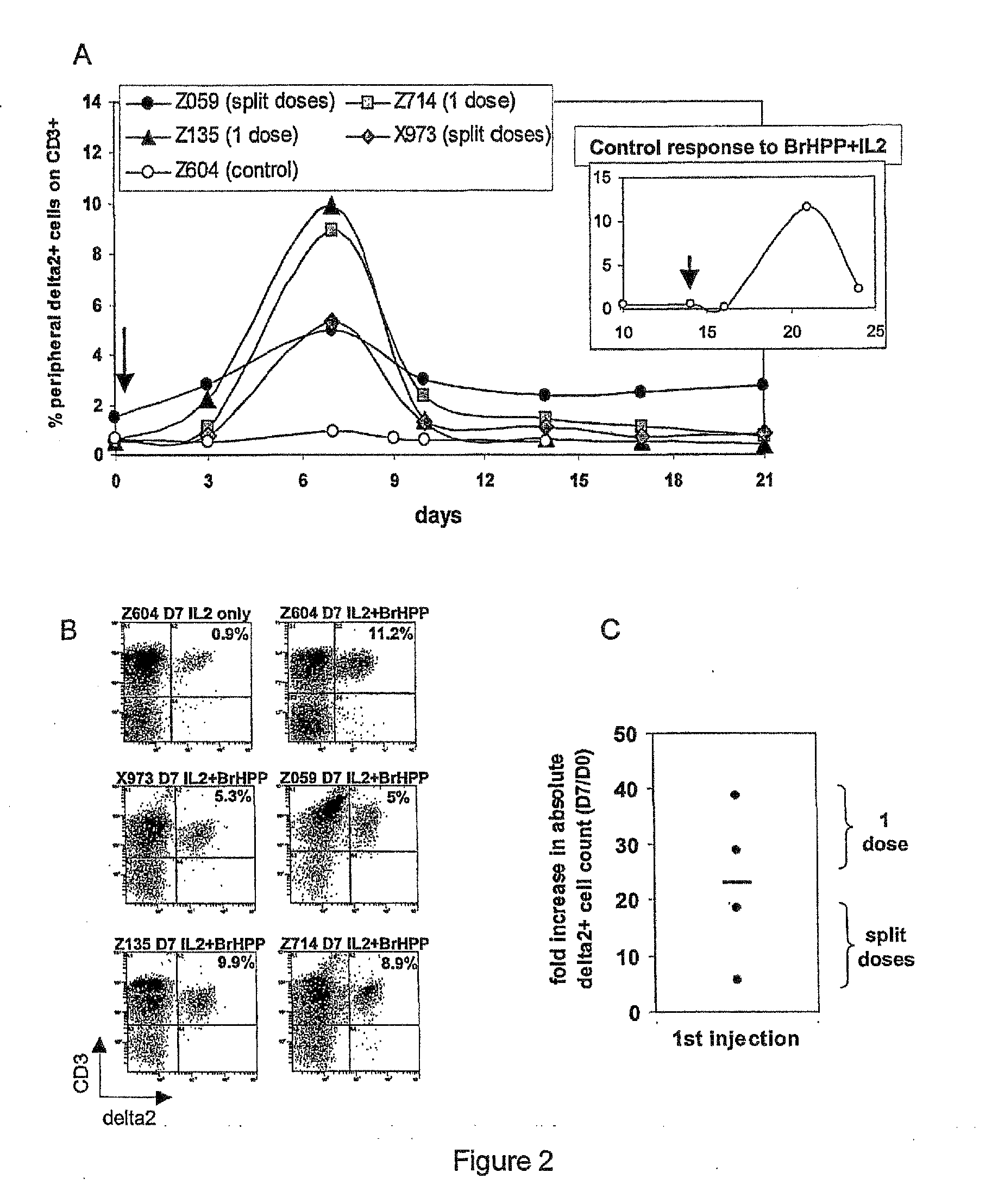 Compositions and Methods for Regulating an Immune Response in a Subject
