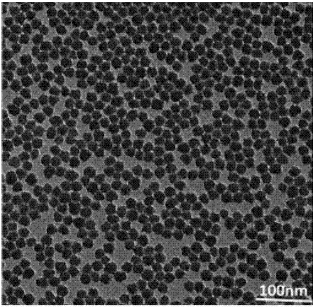 Preparation method of hollow vesicular manganous silicate nanoparticles with stable arginine, product and application thereof