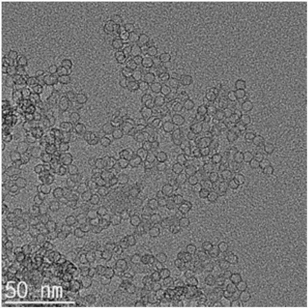 Preparation method of hollow vesicular manganous silicate nanoparticles with stable arginine, product and application thereof