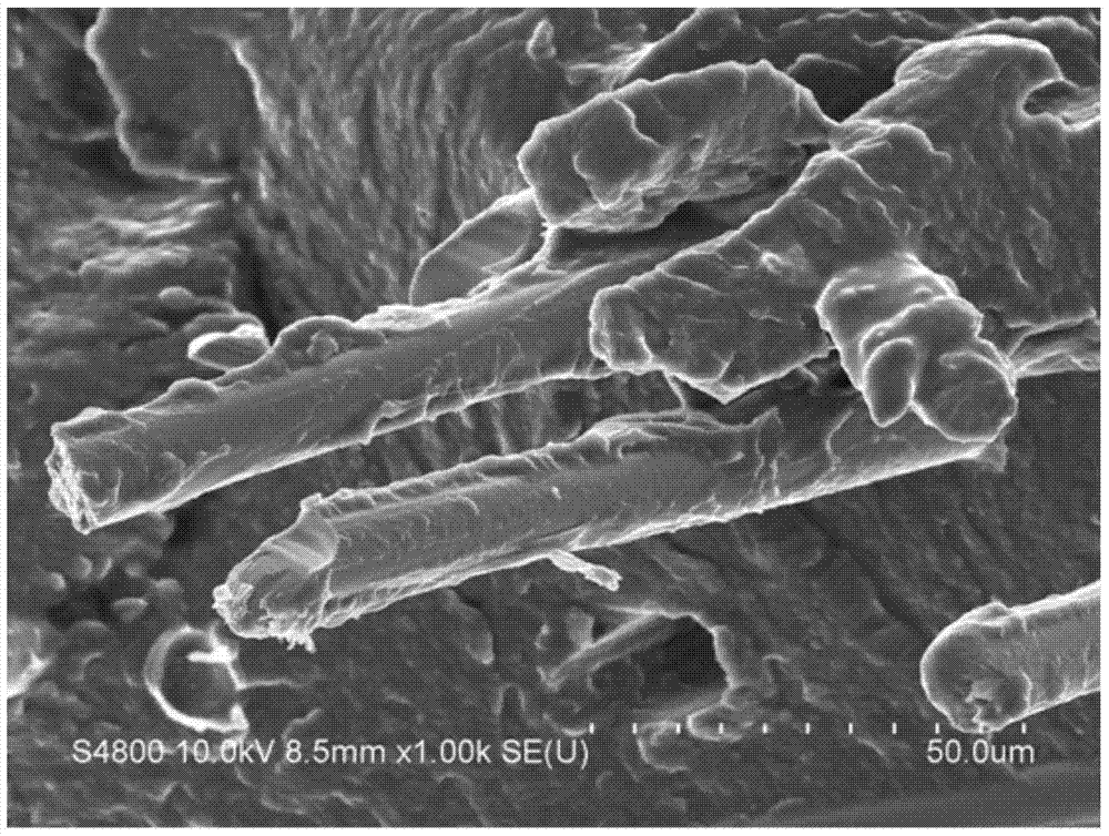 A kind of preparation method of glass fiber reinforced polyamide composite material loaded with nucleating agent