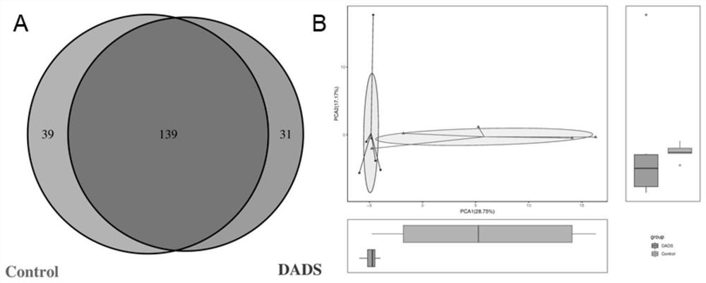 Application of DADS in preparation of medicine for relieving intestinal flora disorder