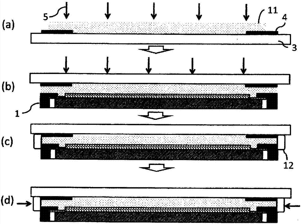 Method for producing image display device, curable resin composition to be used therein, touch panel, and image display device