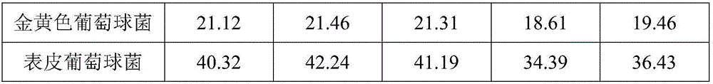 Anti-acne serum and preparation method thereof