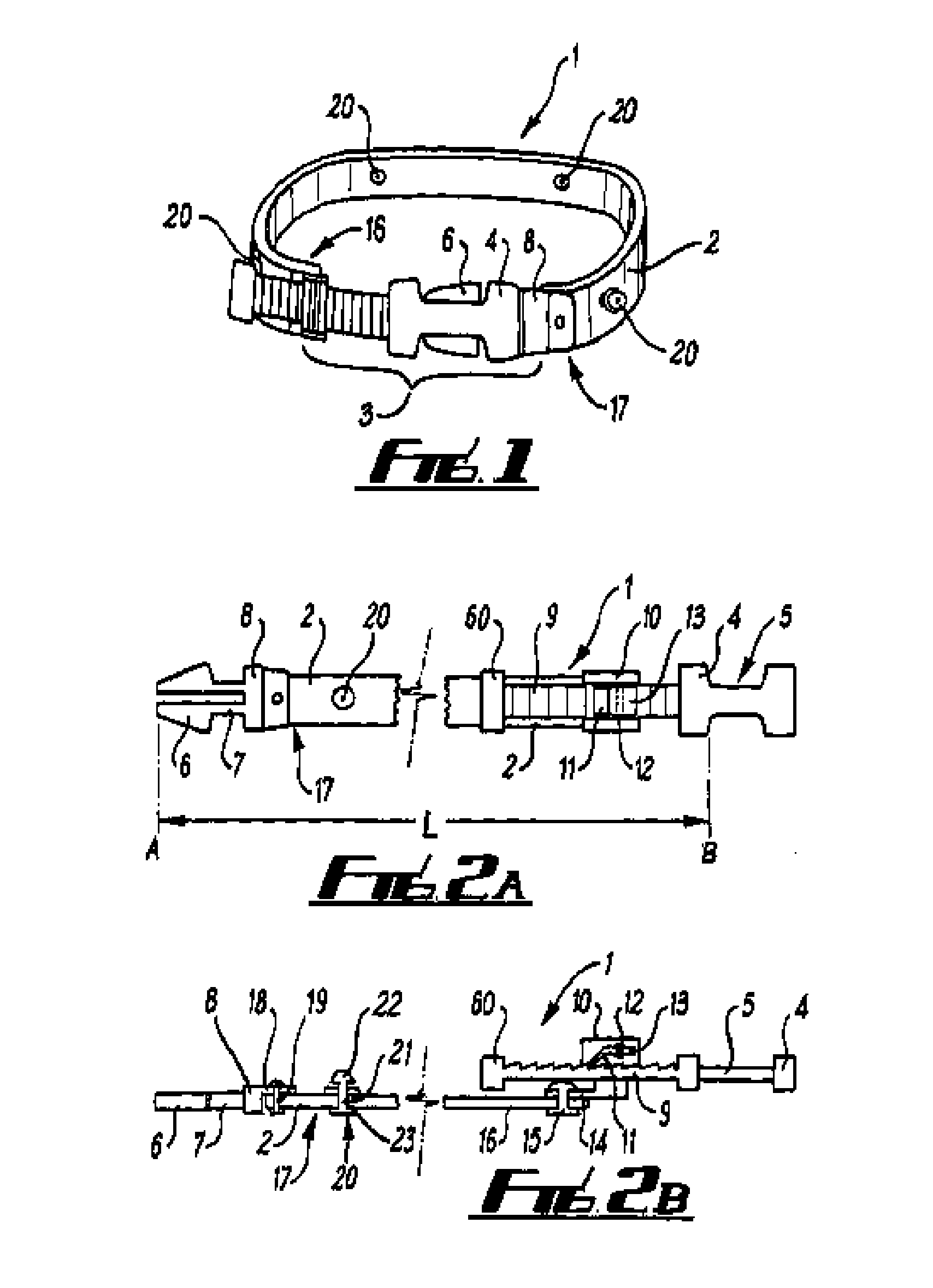 Adjustable buckle and collar