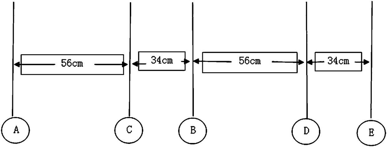 The method of using the golden ratio to plant corn