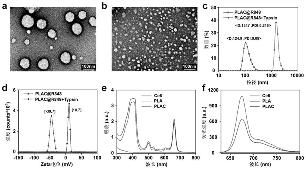 Construction of photosensitive nano-micelle capable of inducing M1 type polarization of tumor-associated macrophages and anti-tumor application of photosensitive nano-micelle