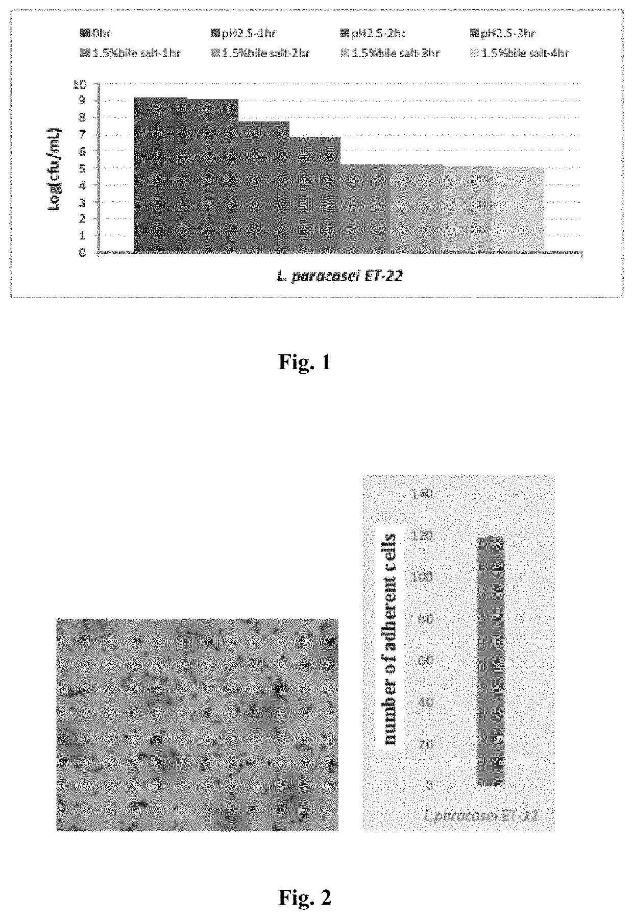 <i>Lactobacillus paracasei </i>ET-22 and use thereof