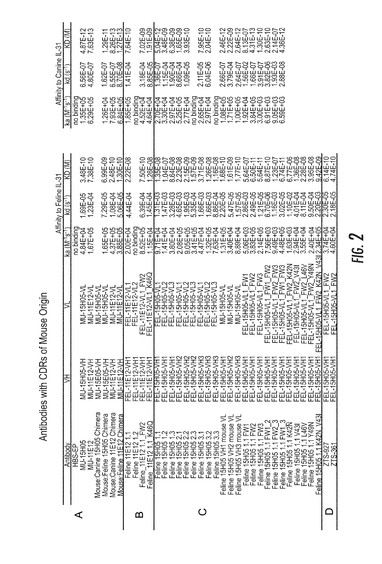 Interleukin-31 monoclonal antibodies for veterinary use