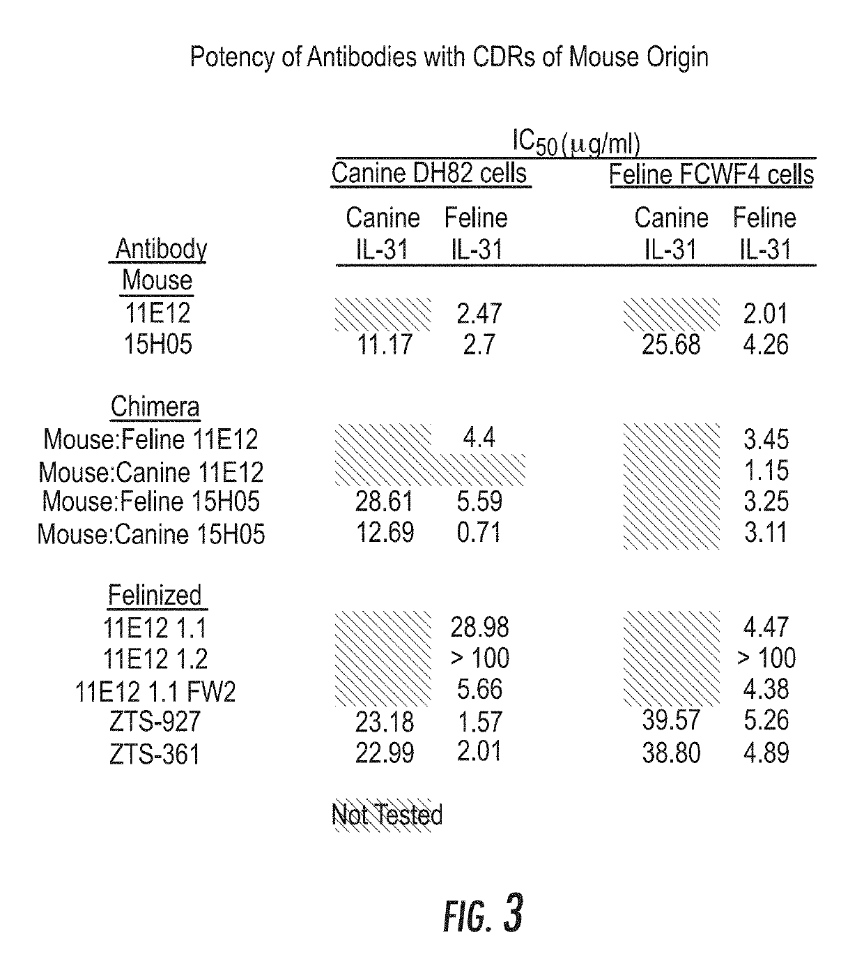 Interleukin-31 monoclonal antibodies for veterinary use