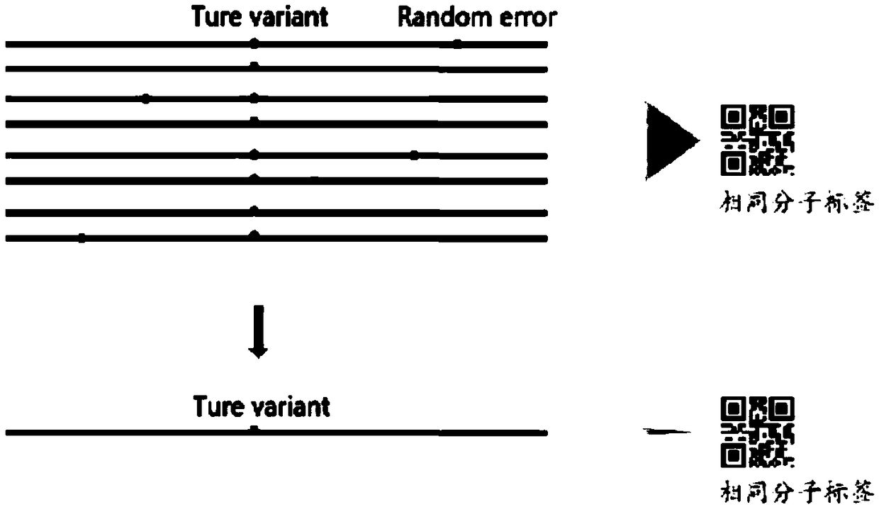 Method of detecting GJB2 gene mutation noninvasively, kit and preparation method thereof