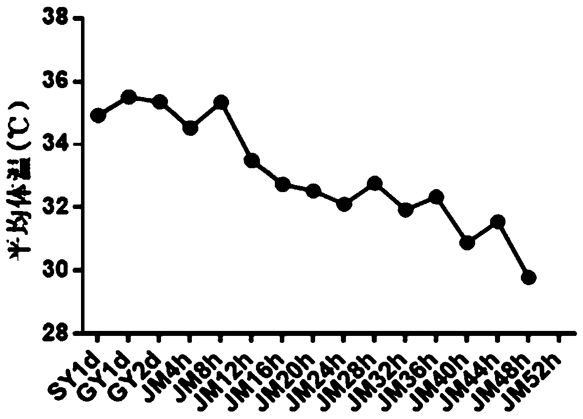 Application of PGC-1 alpha activating agent in preparation of drug for treating sepsis