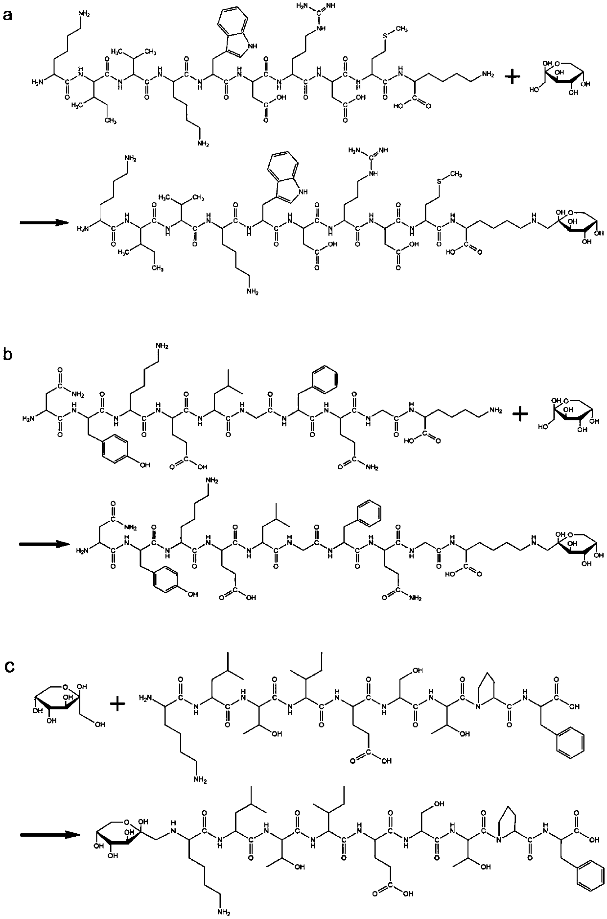 Common and convenient epitope imprinting method and application of molecular imprinting polymer