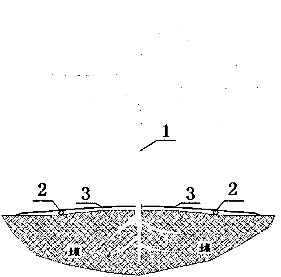 Arrangement method for drip irrigation pipes under black weed control cloth