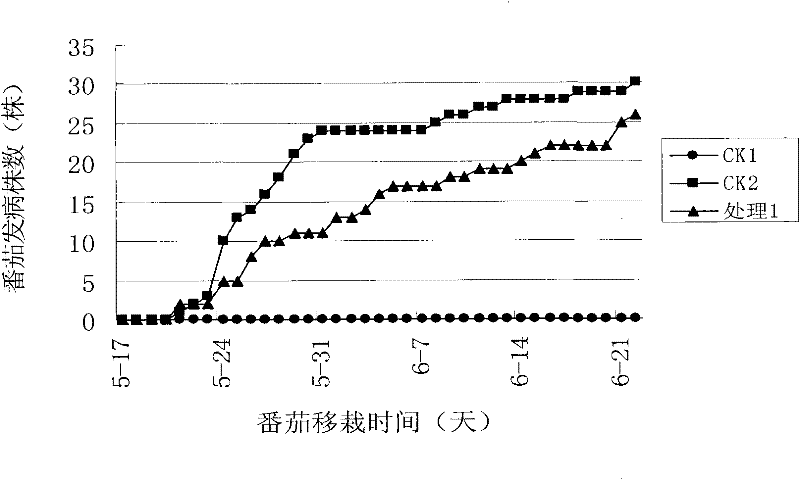 Fungal inoculant for controlling bacterial wilt of tomato and preparation method thereof