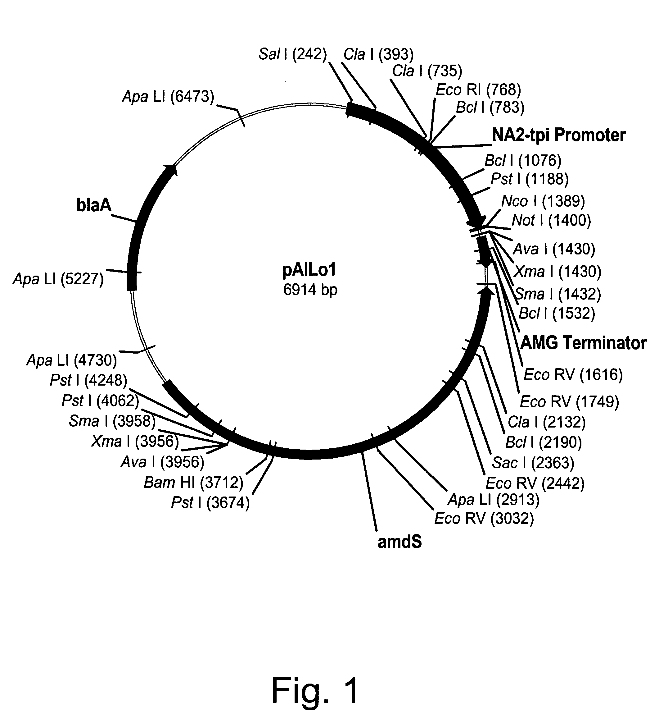 Methods for degrading or converting plant cell wall polysaccharides