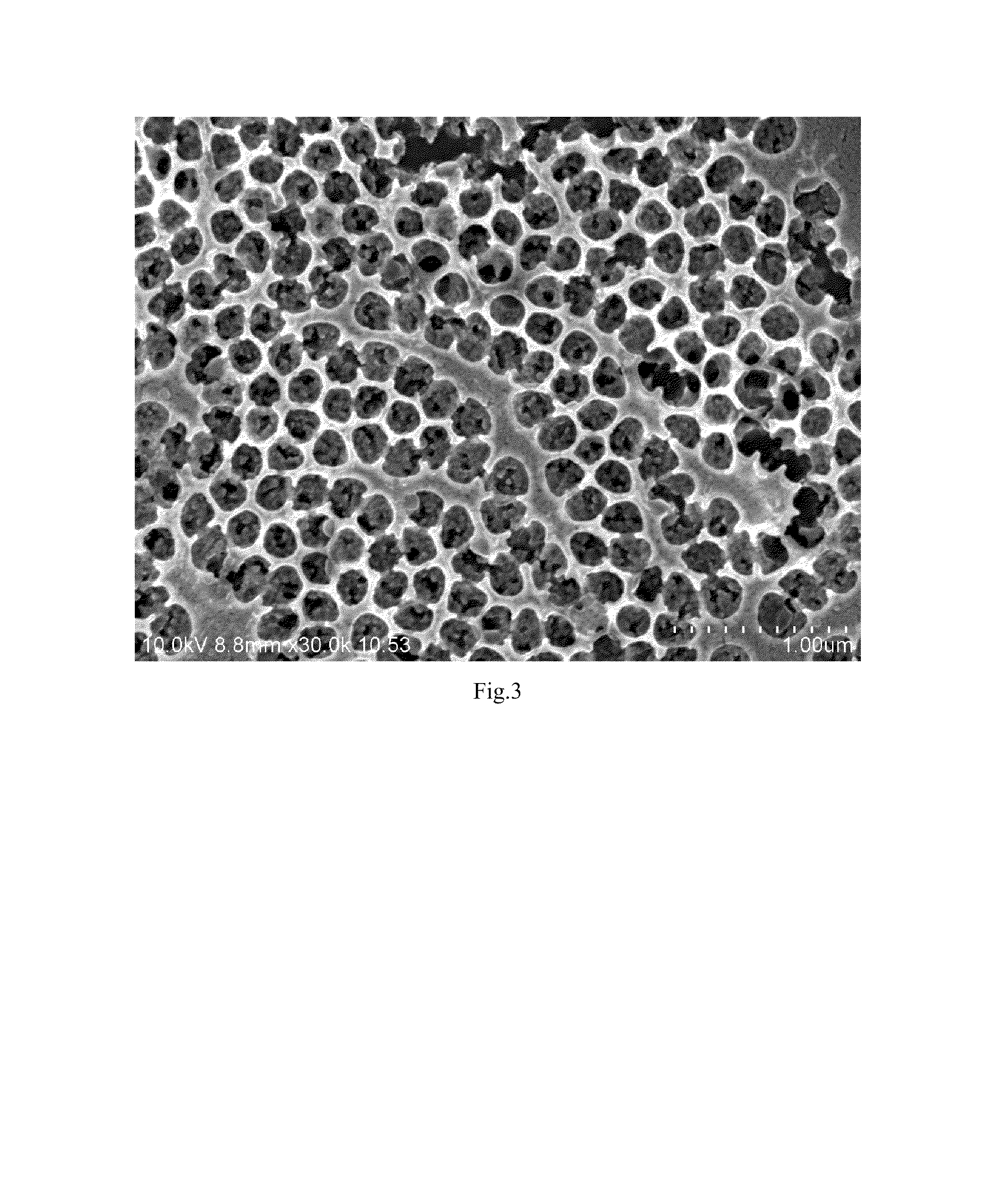 Methods of making platinum and platinum alloy catalysts with nanonetwork structures