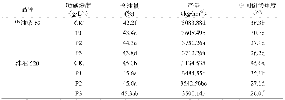 A method and application thereof for simultaneously improving the oil content and lodging resistance of Brassica napus seeds