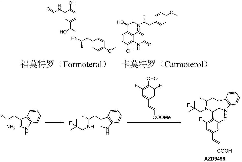 A kind of preparation method of chiral α-methyl arylethylamine