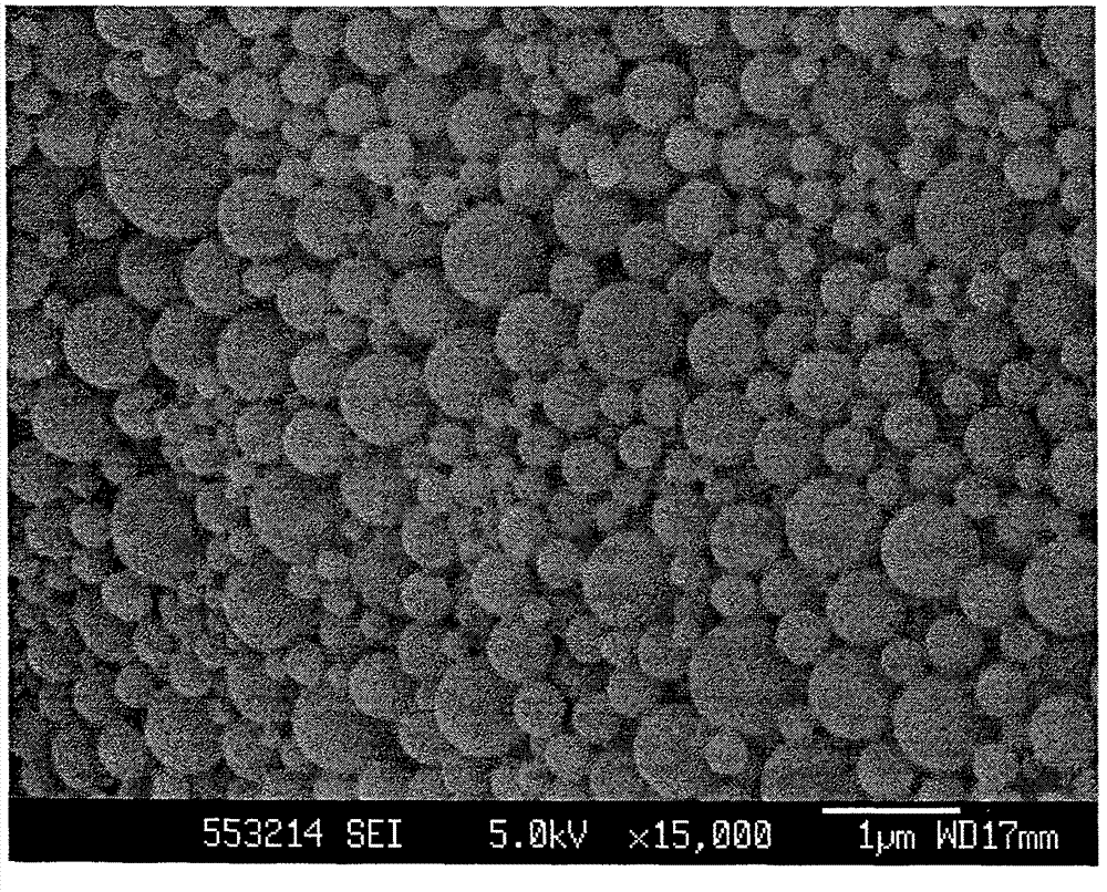 FK506 topical application sustained release film patch of immunosuppressive agent for accelerating regeneration of nerve, method of producing the same and use of the same