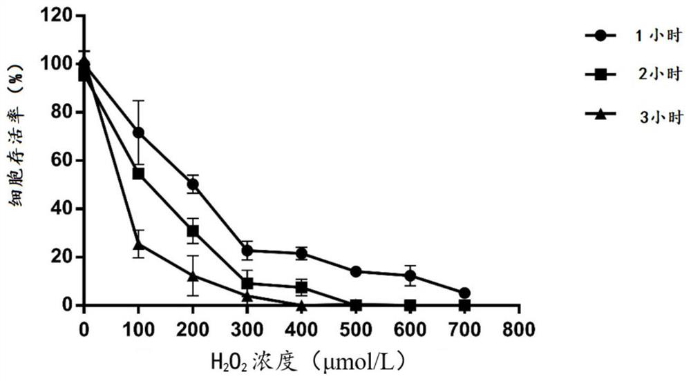 Lactobacillus fermentum and application of product of lactobacillus fermentum in oxidation resistance and tumor resistance