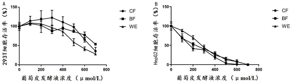 Lactobacillus fermentum and application of product of lactobacillus fermentum in oxidation resistance and tumor resistance