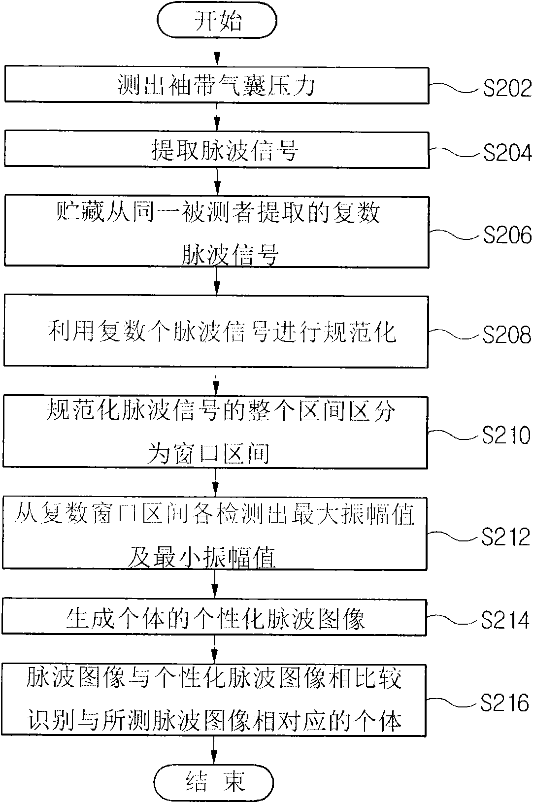 Individual identification apparatus and method based on oscillometric arterial blood pressure measurement